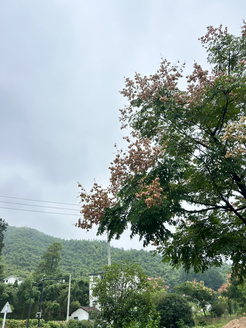 杭宣古道·独松关
