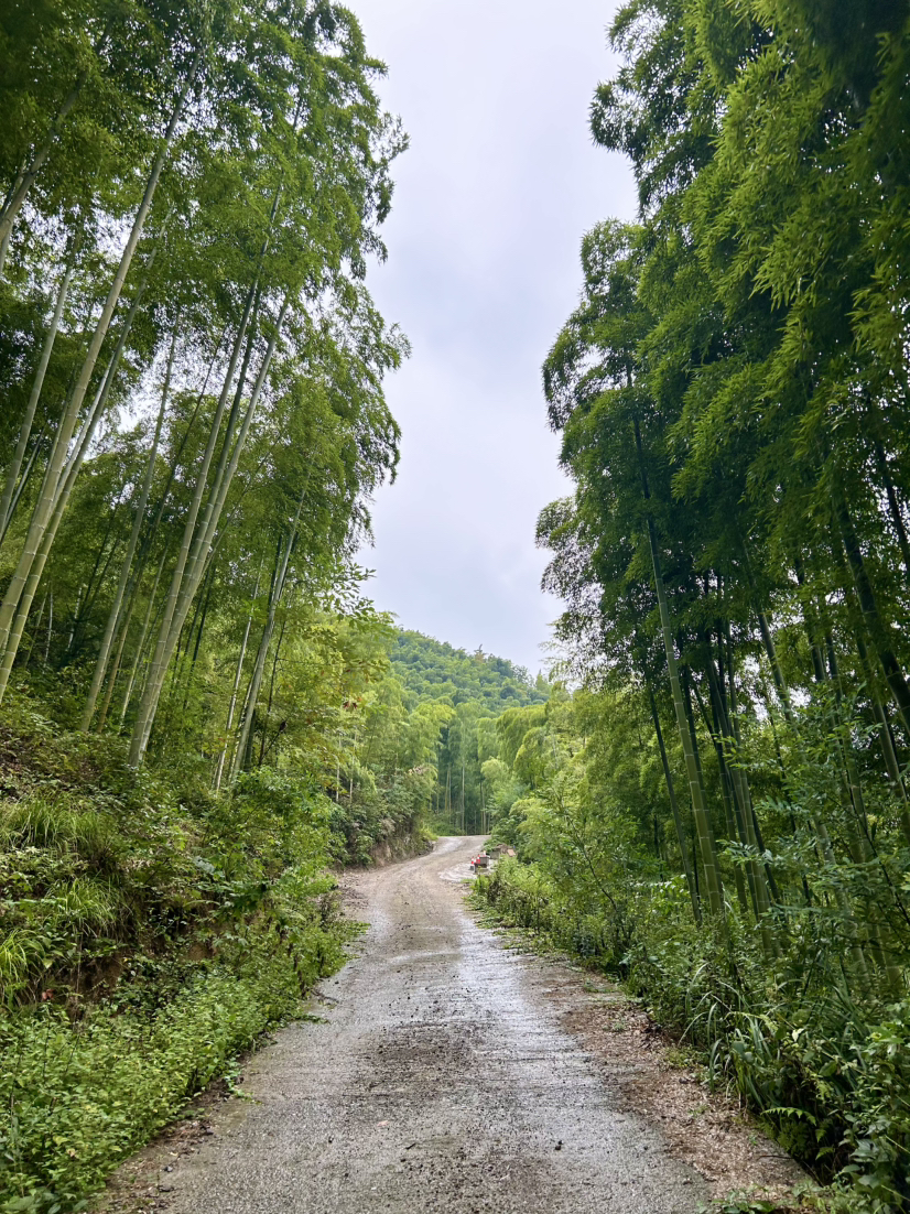 杭宣古道·独松关