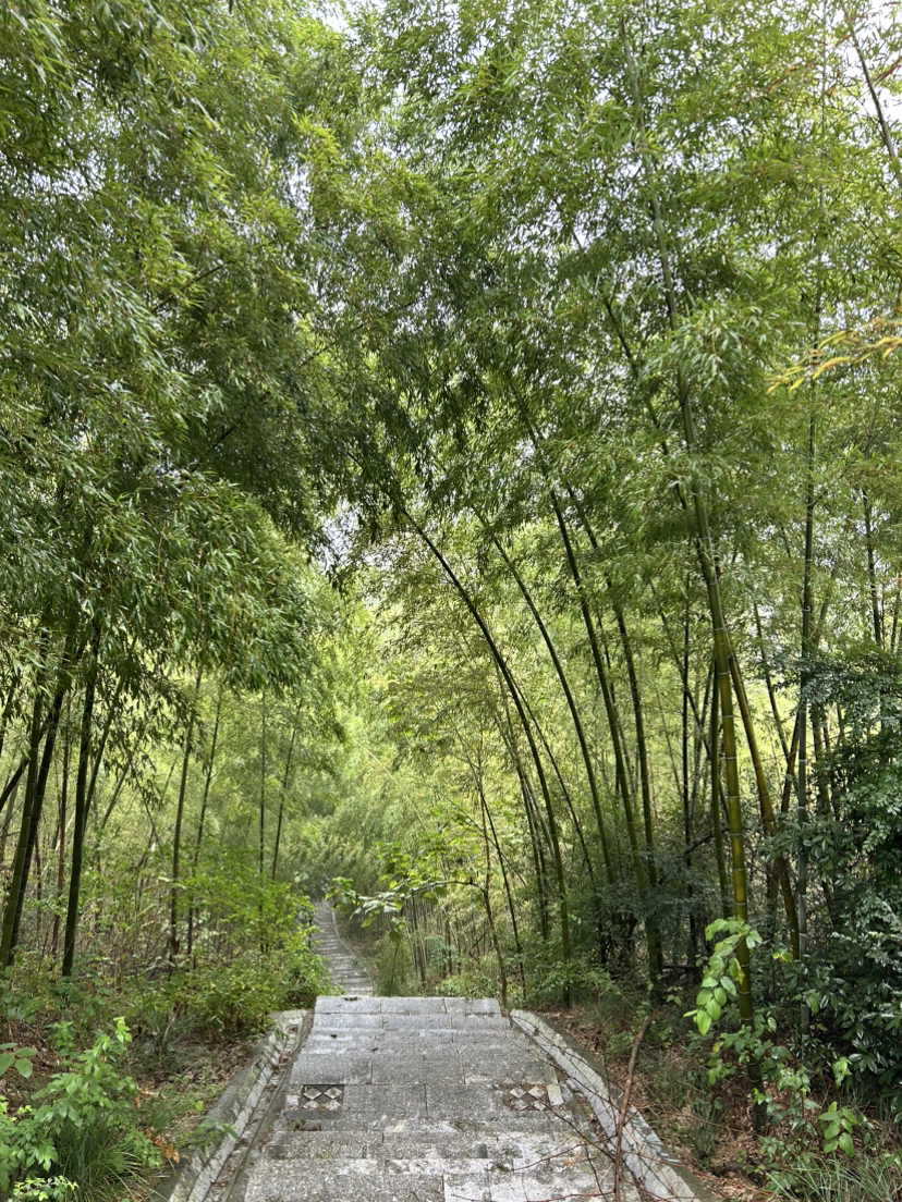 杭宣古道·独松关