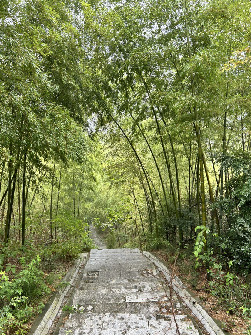 杭宣古道·独松关