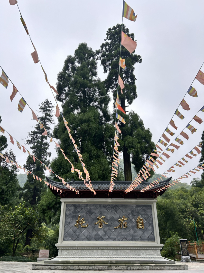 杭宣古道·独松关