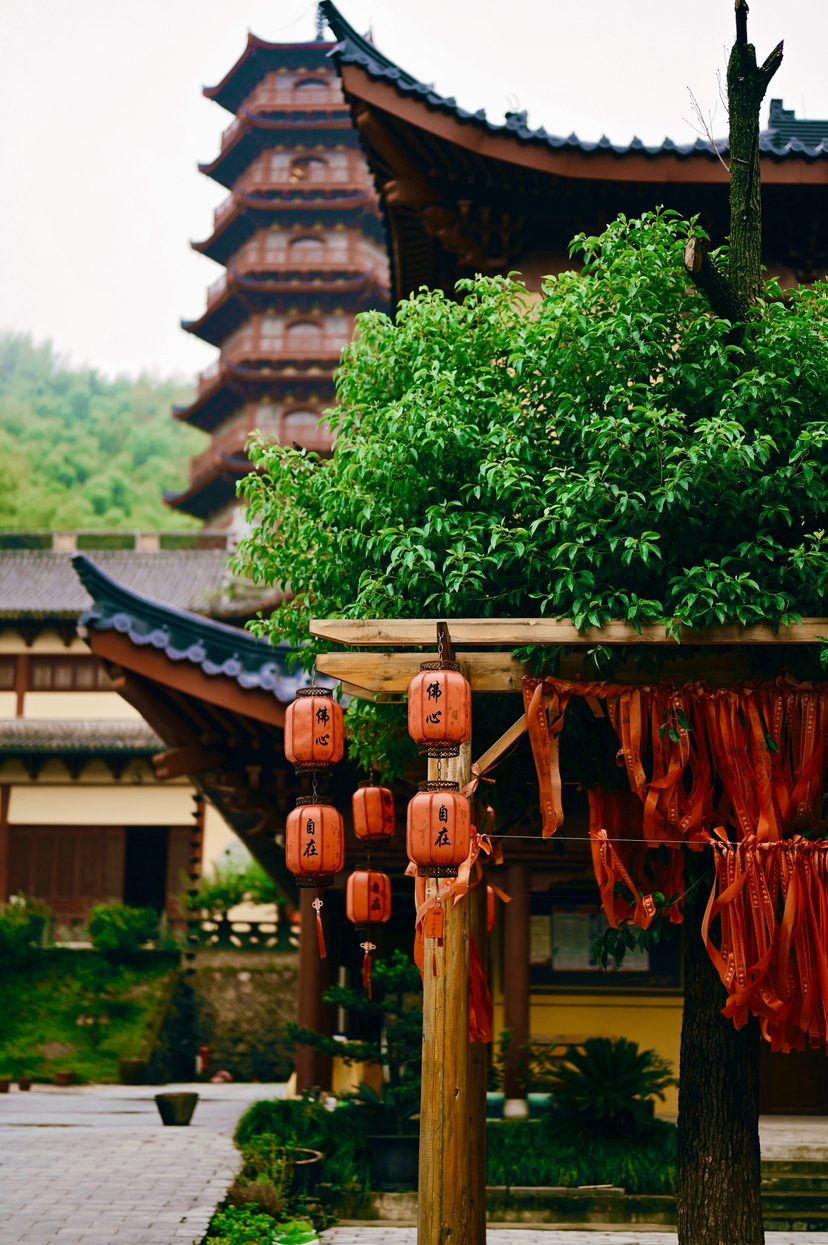 杭宣古道·独松关