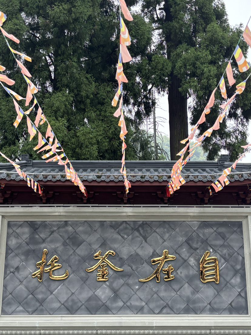 杭宣古道·独松关