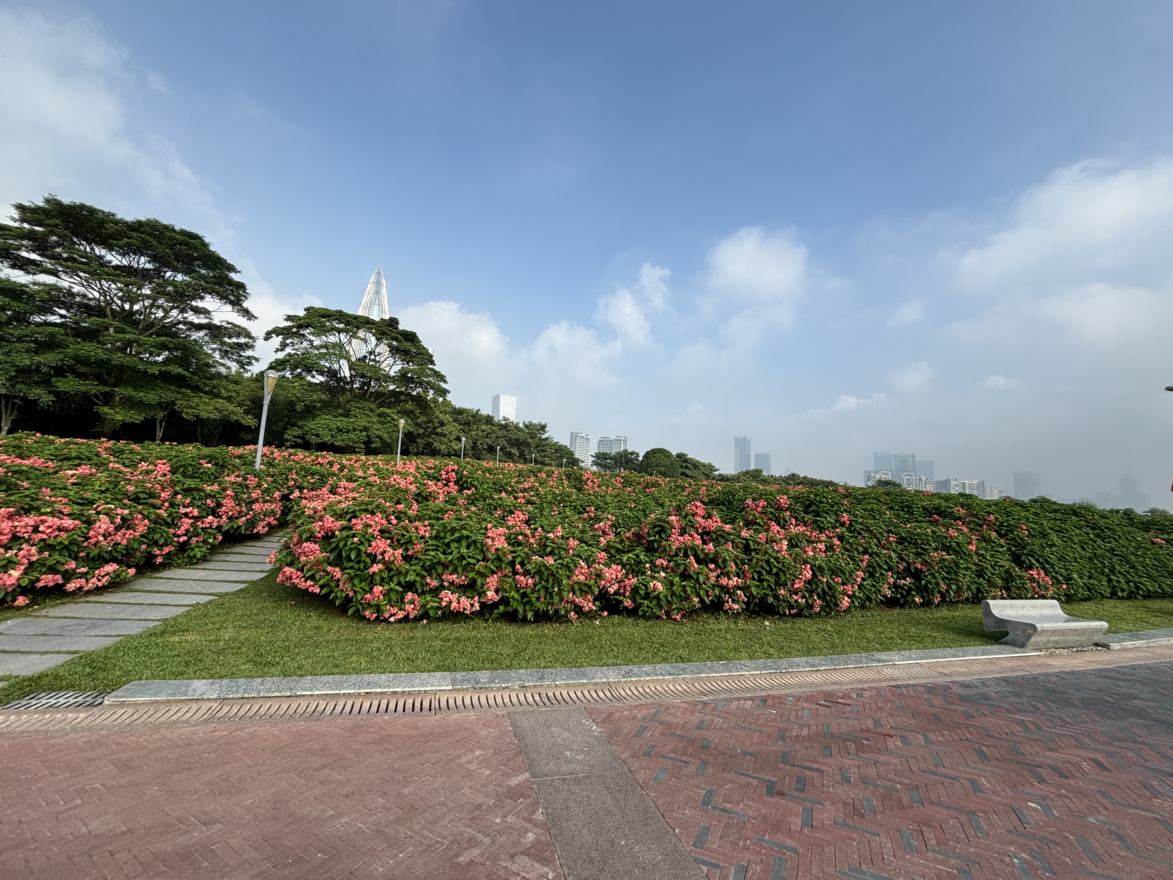 深圳湾公园