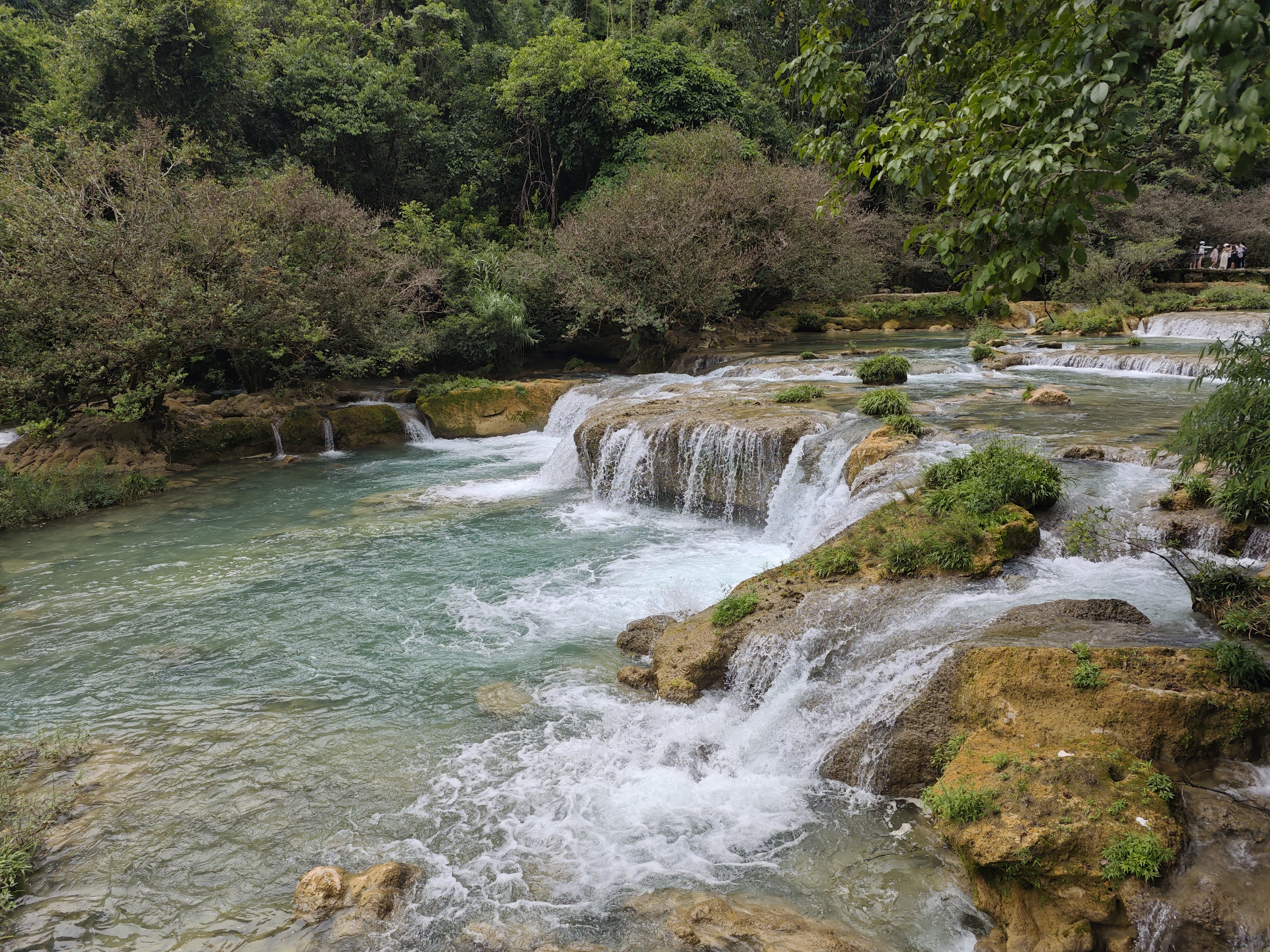 青山绿水
