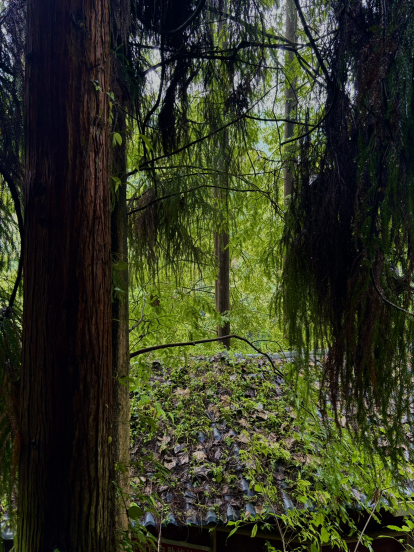 红峡谷