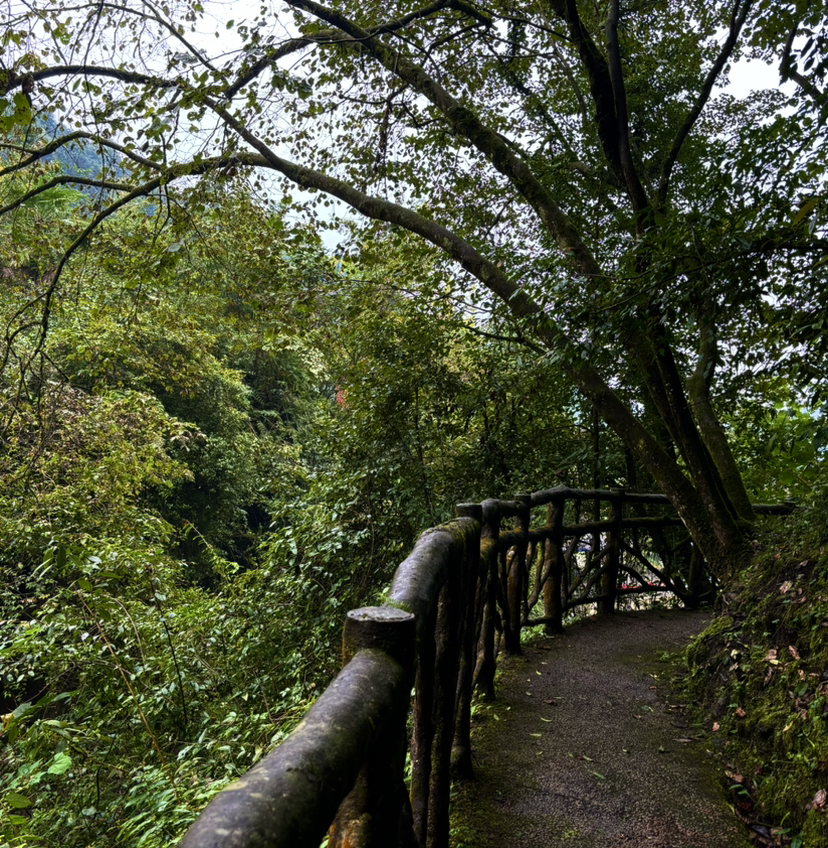 红峡谷