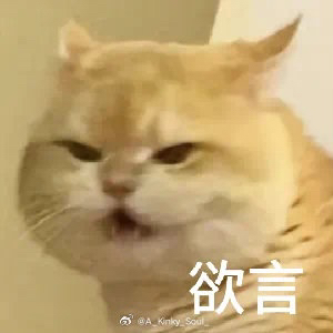 哈哈