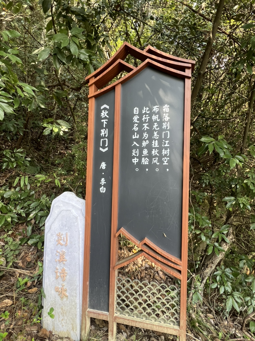 去见一见一颗孤独的树和走一走嶀(tu)山古道~惊喜万分