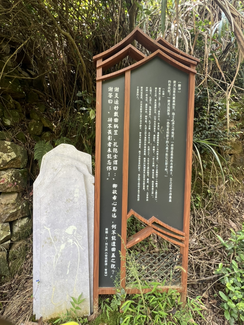 去见一见一颗孤独的树和走一走嶀(tu)山古道~惊喜万分