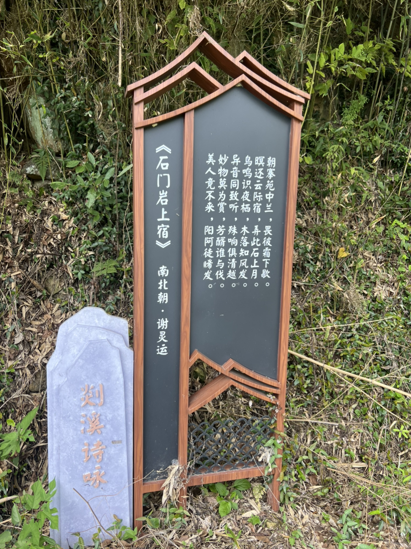 去见一见一颗孤独的树和走一走嶀(tu)山古道~惊喜万分