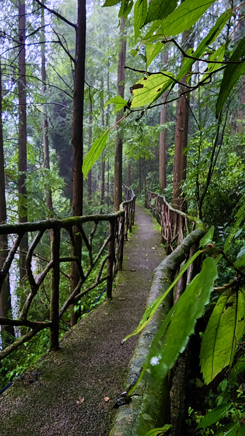 红峡谷