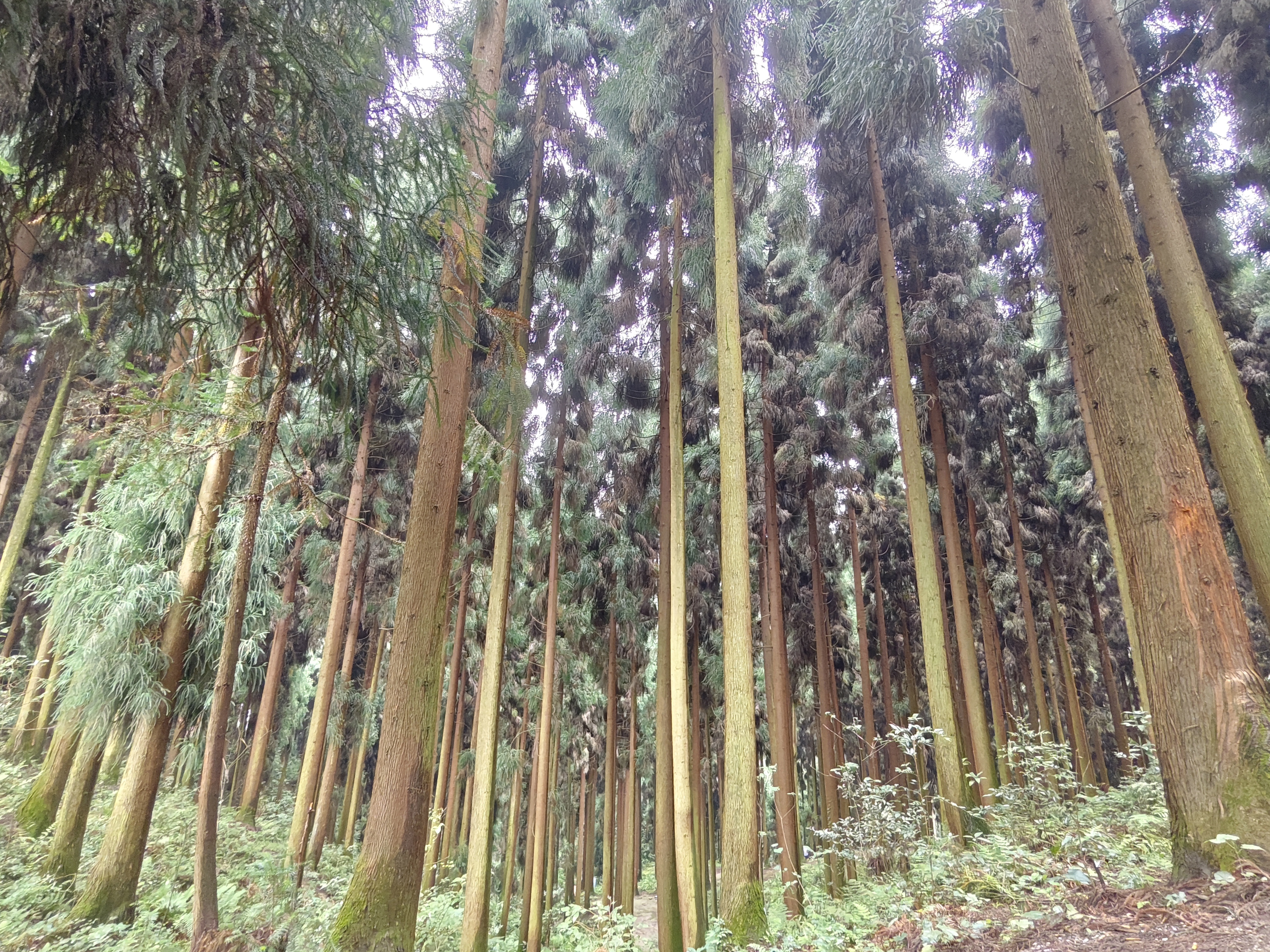 无痕山野