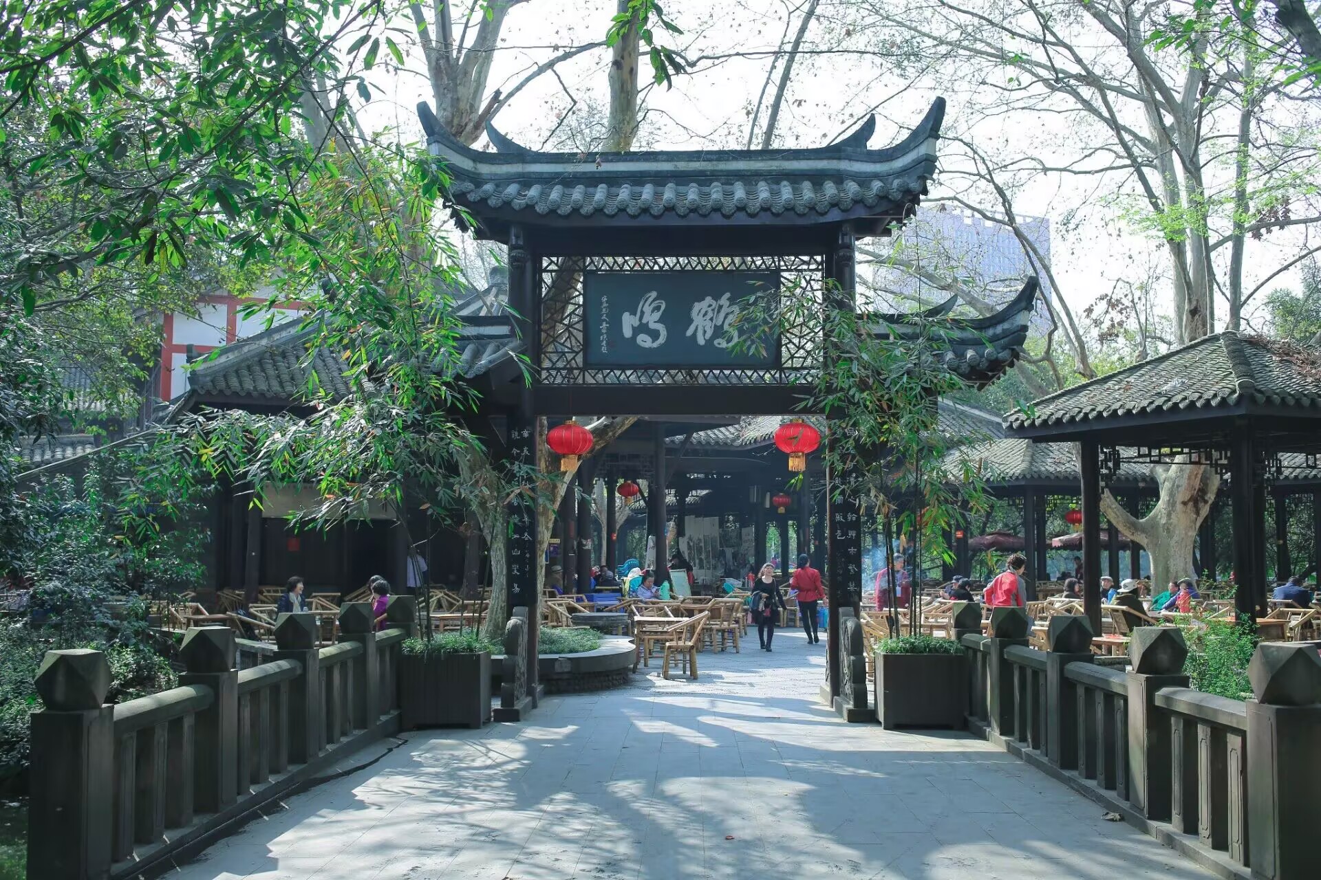 旅游打卡成都品茶90分钟工作室,寻味百年鹤鸣自带茶香韵味
