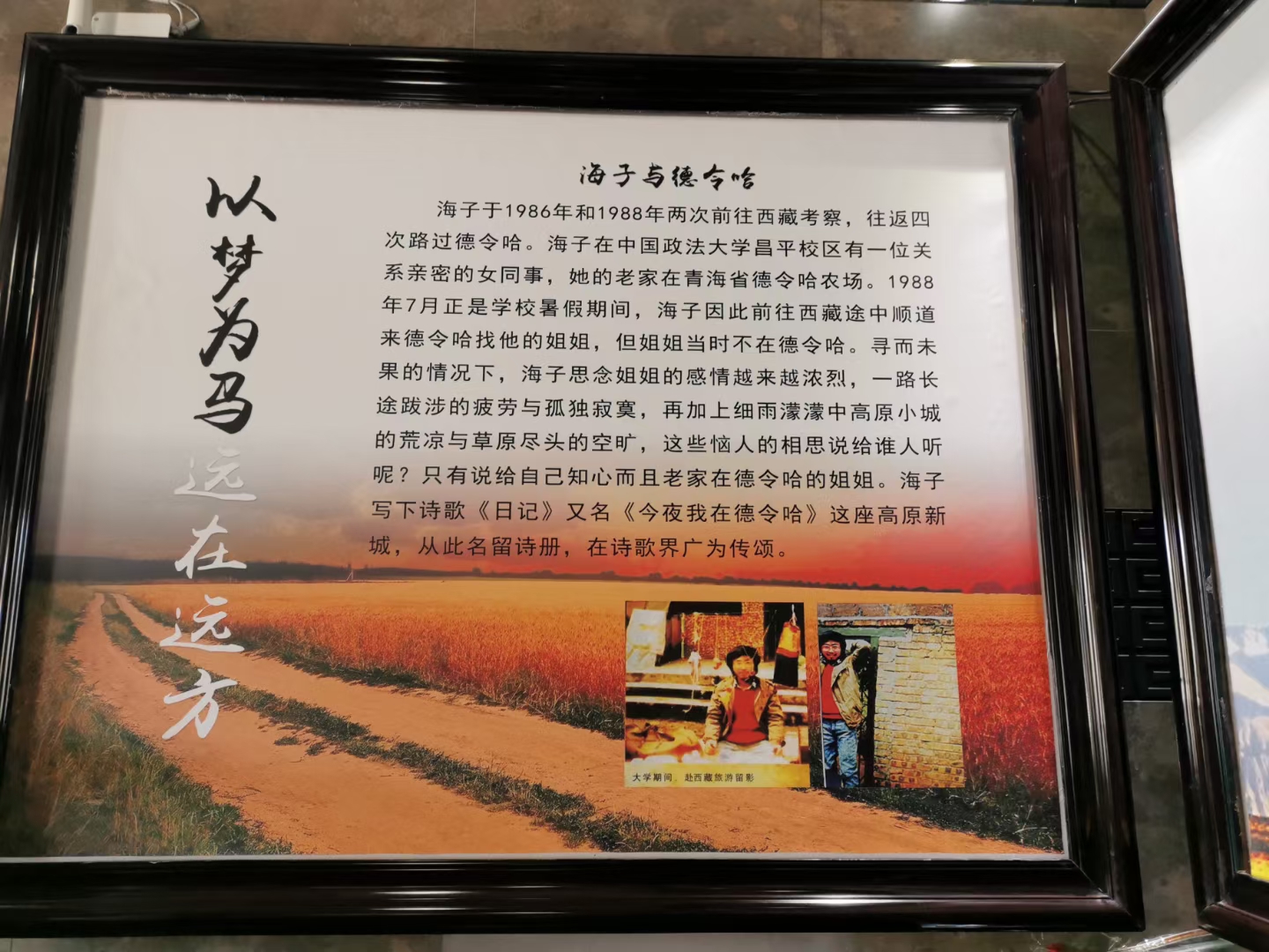 青甘大环线之五