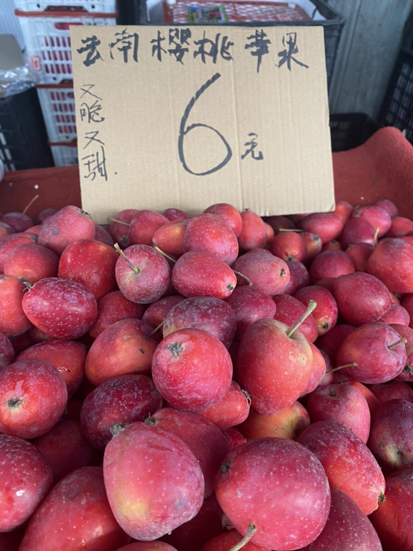 桂林菜场闲逛
