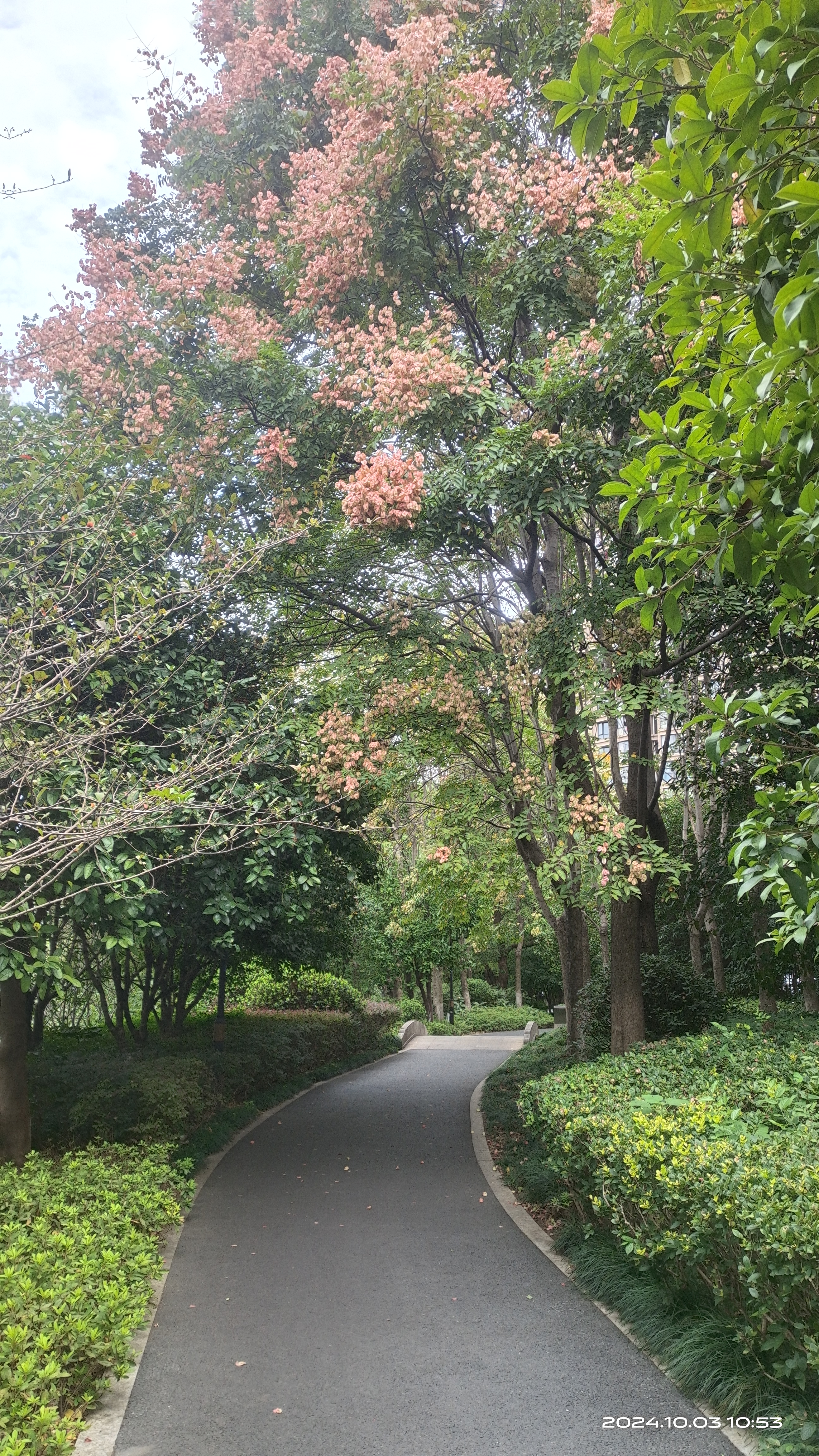 骑游上塘河绿道