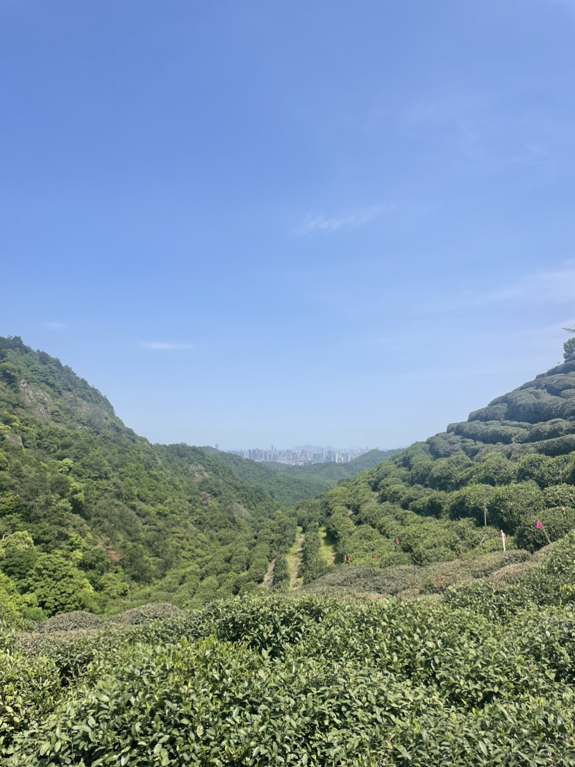 阴沉沉的天气