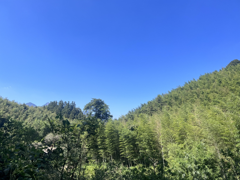 星溪线初体验