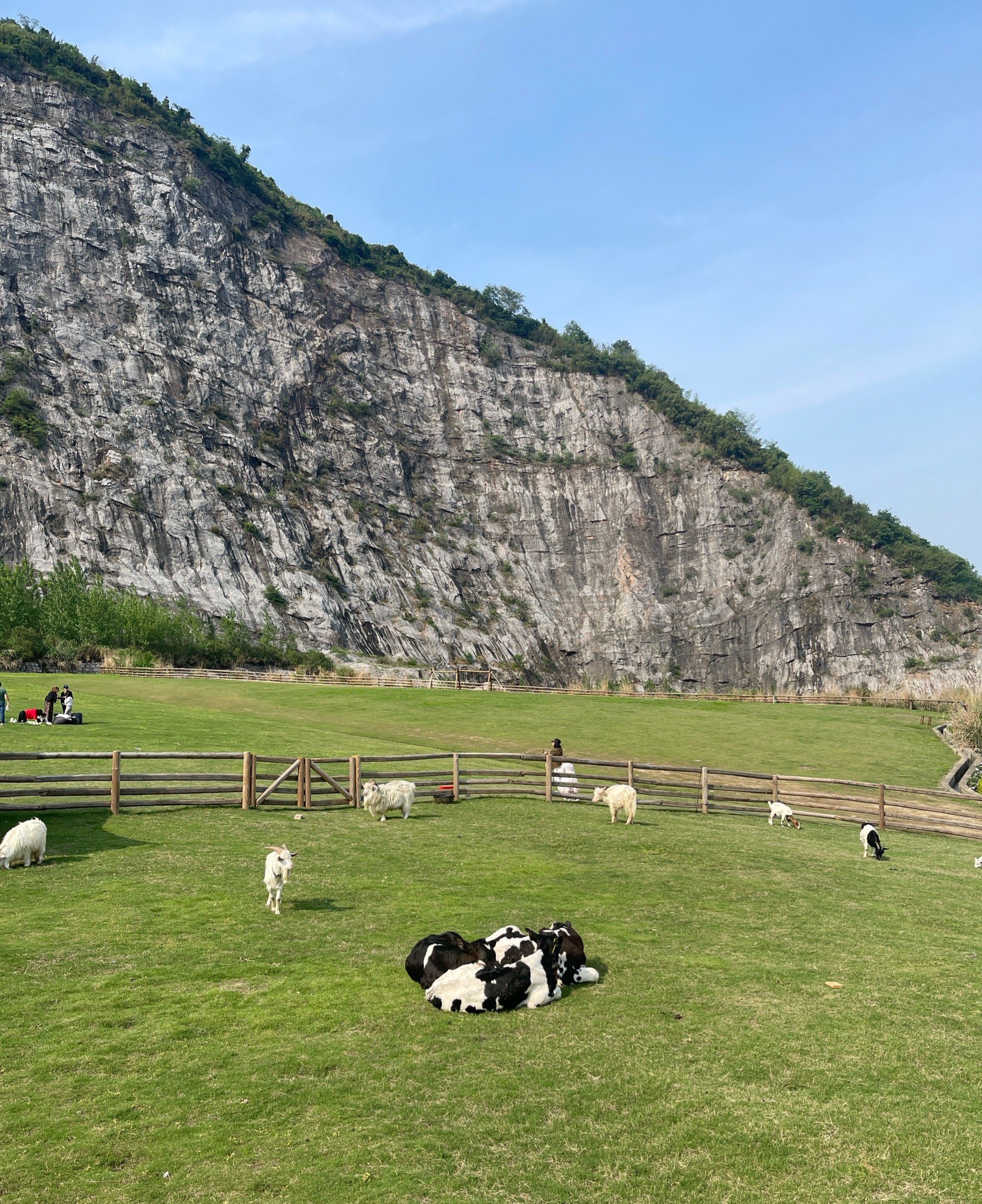杭州小新西兰——灵山景区悬崖牧场