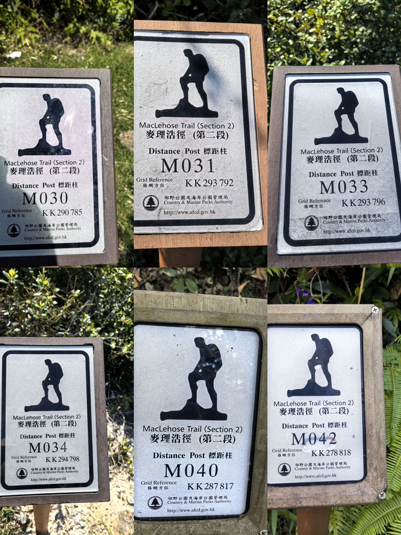 麦理浩径徒步