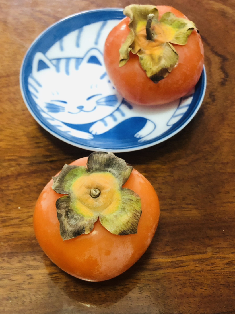 旅游=特点小吃