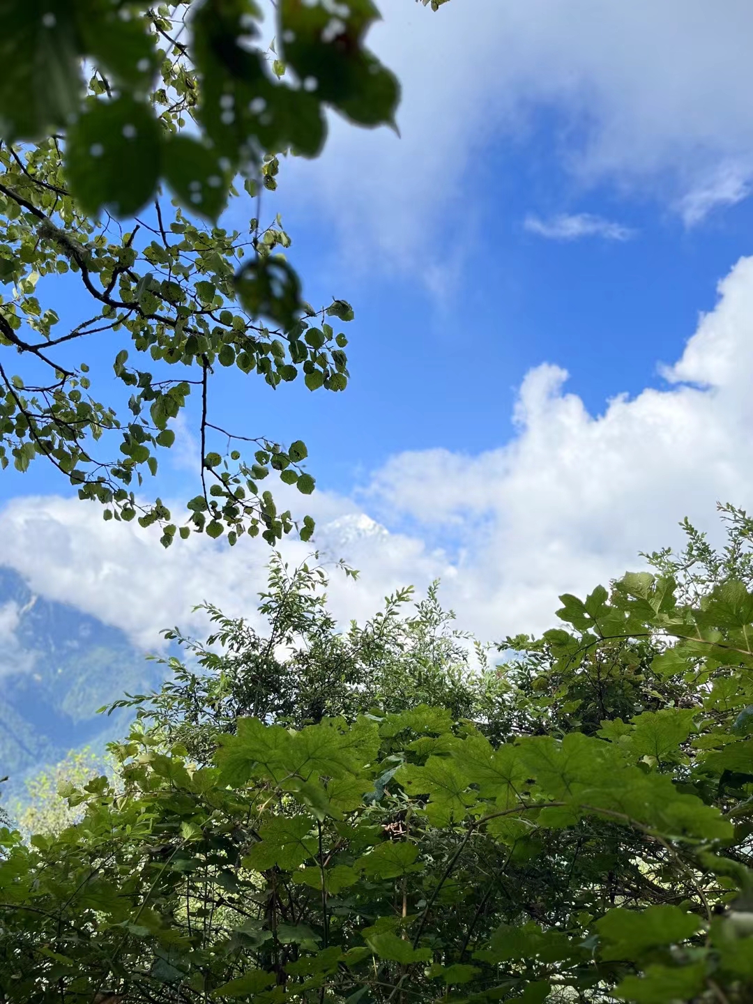 龙华山