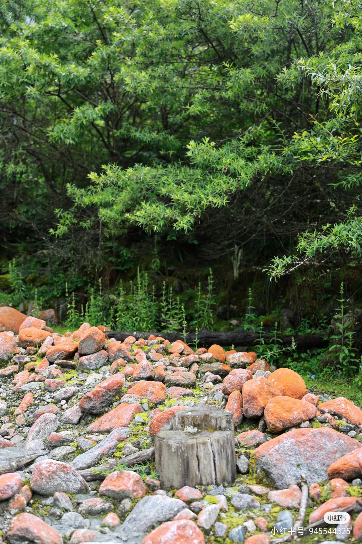 奇遇川西·山水秘境