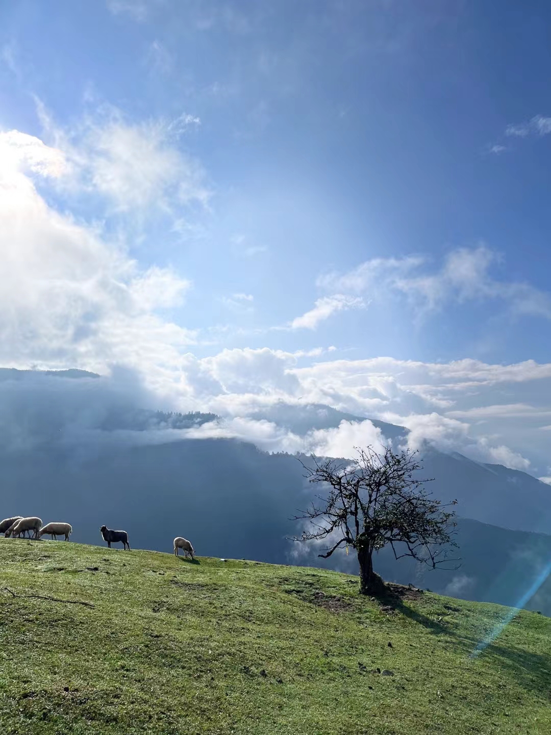 龙华山