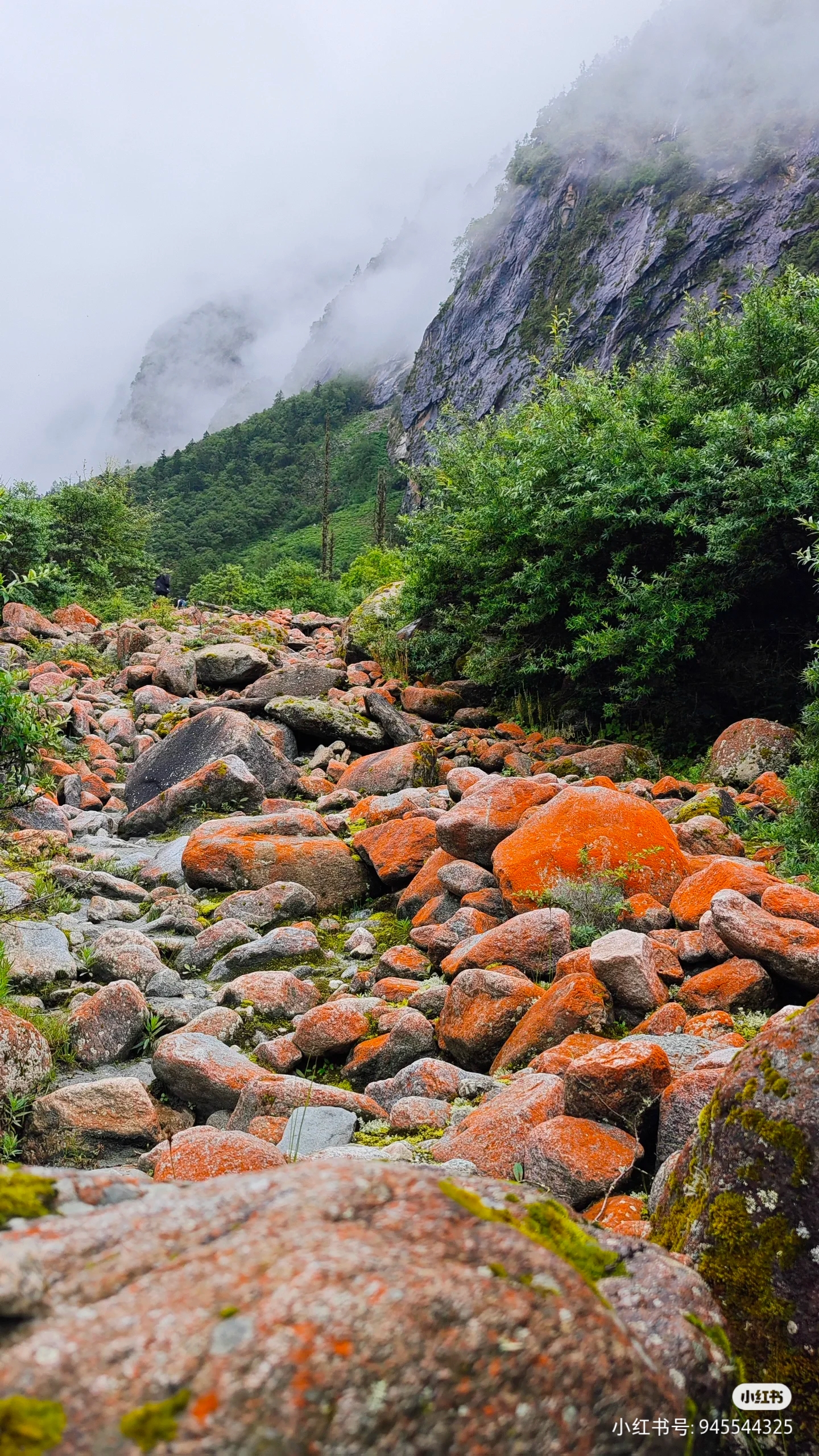 奇遇川西·山水秘境