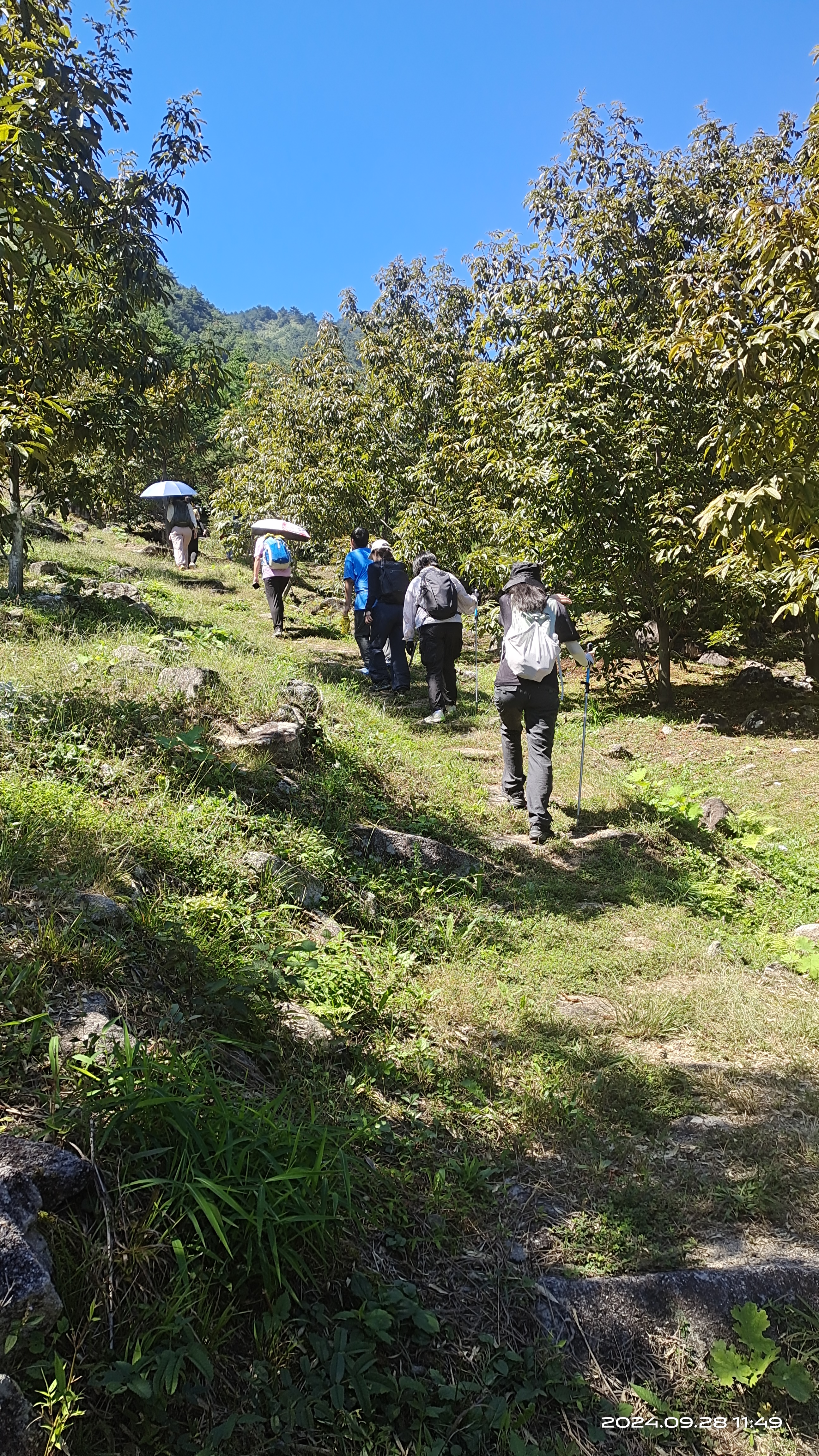 走荆磡古道,寻萤石,逛古村,观梯田