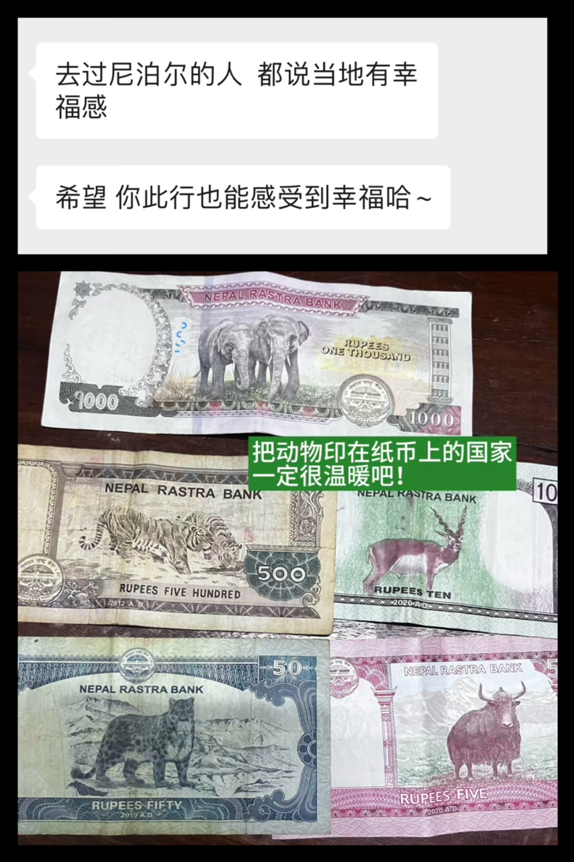 尼泊尔ABC | 此生必走的徒步线路
