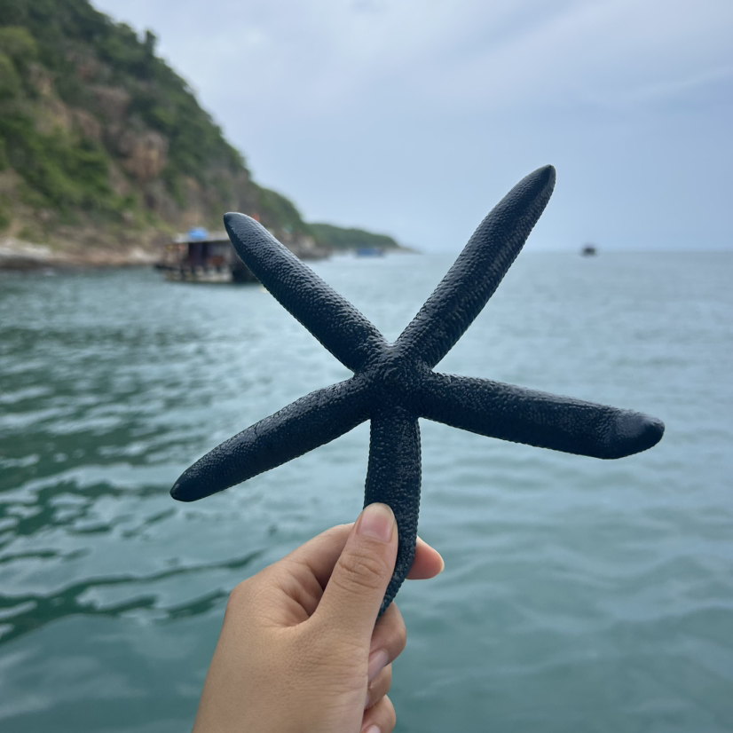 初遇·越南一个还会再来的地方