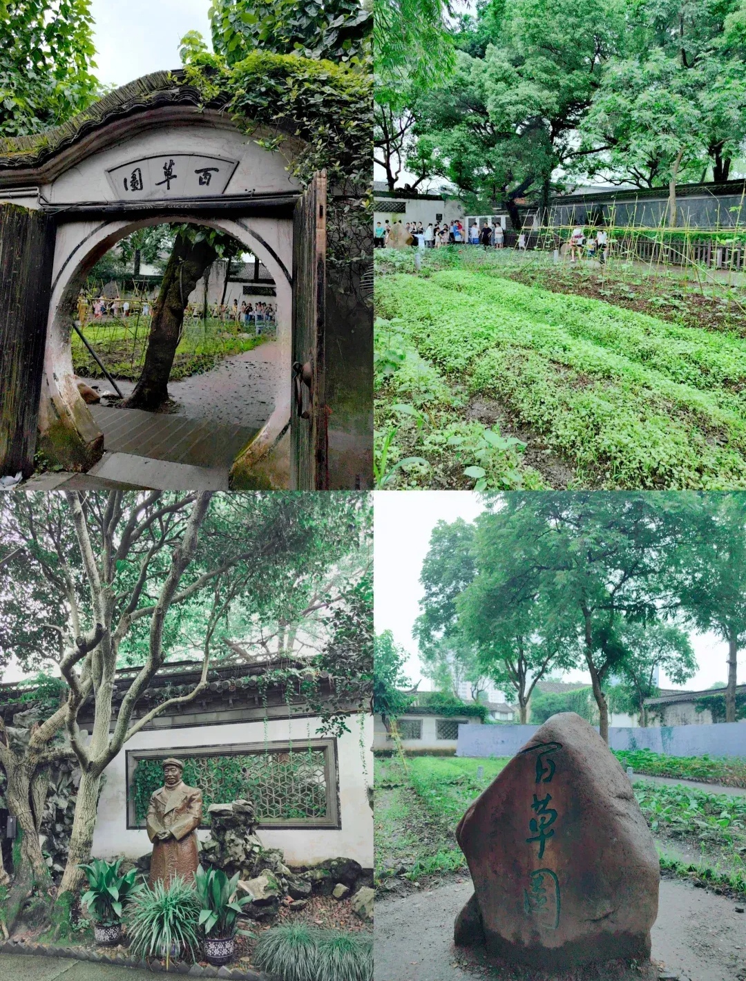 绍兴鲁迅故里游记