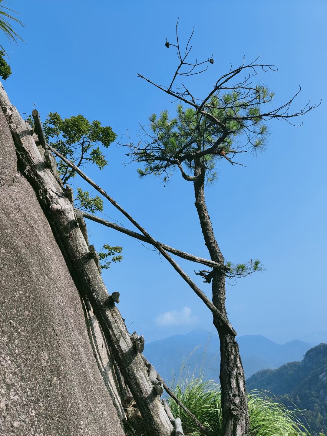 国庆打卡龙须山,龙须山旅游攻略