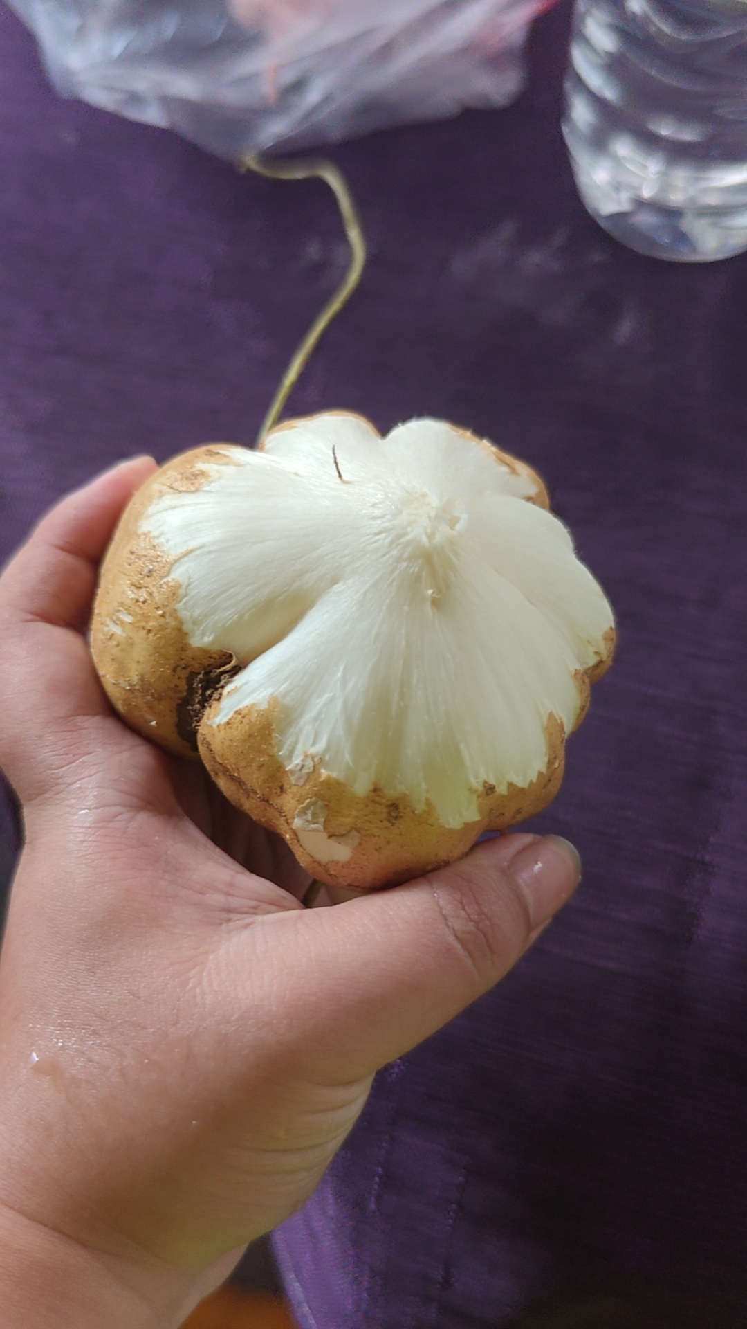 桂林深度
