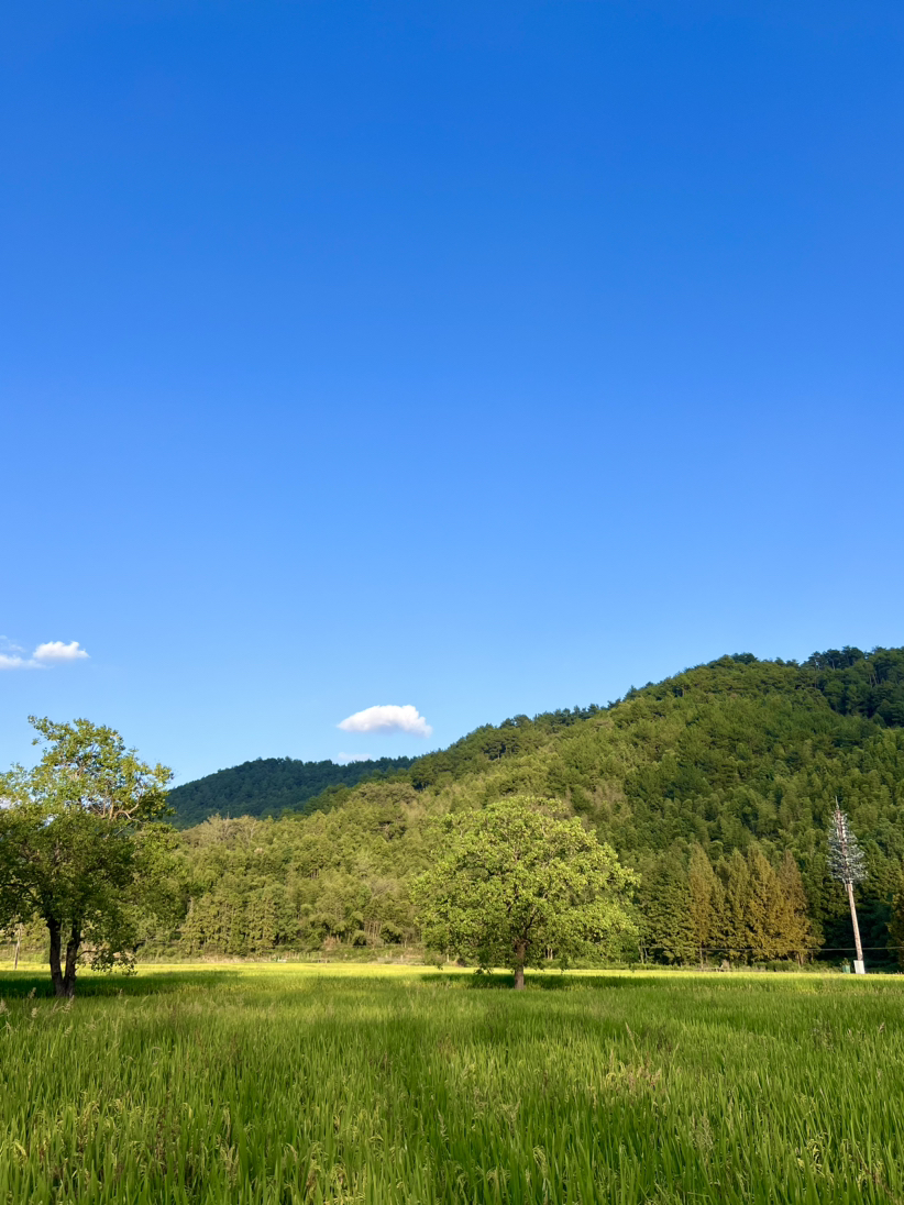 不做天上仙,愿做黄山客
