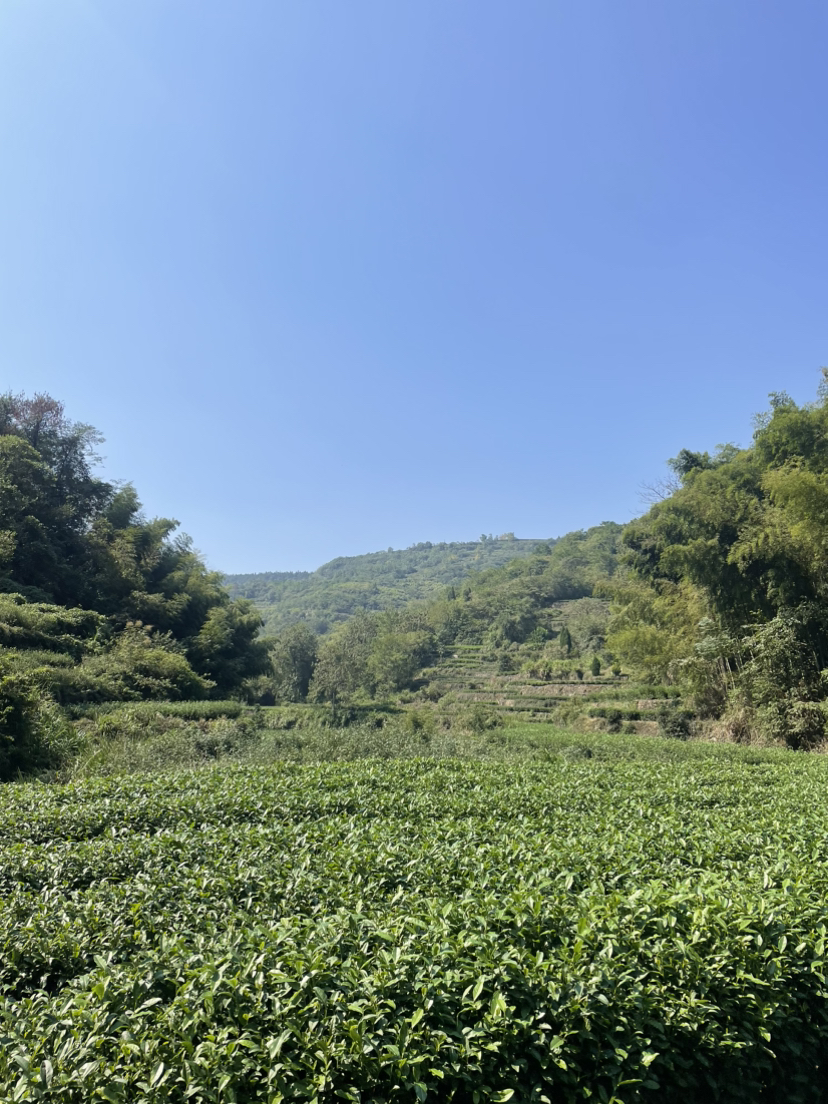新昌美食美景之旅