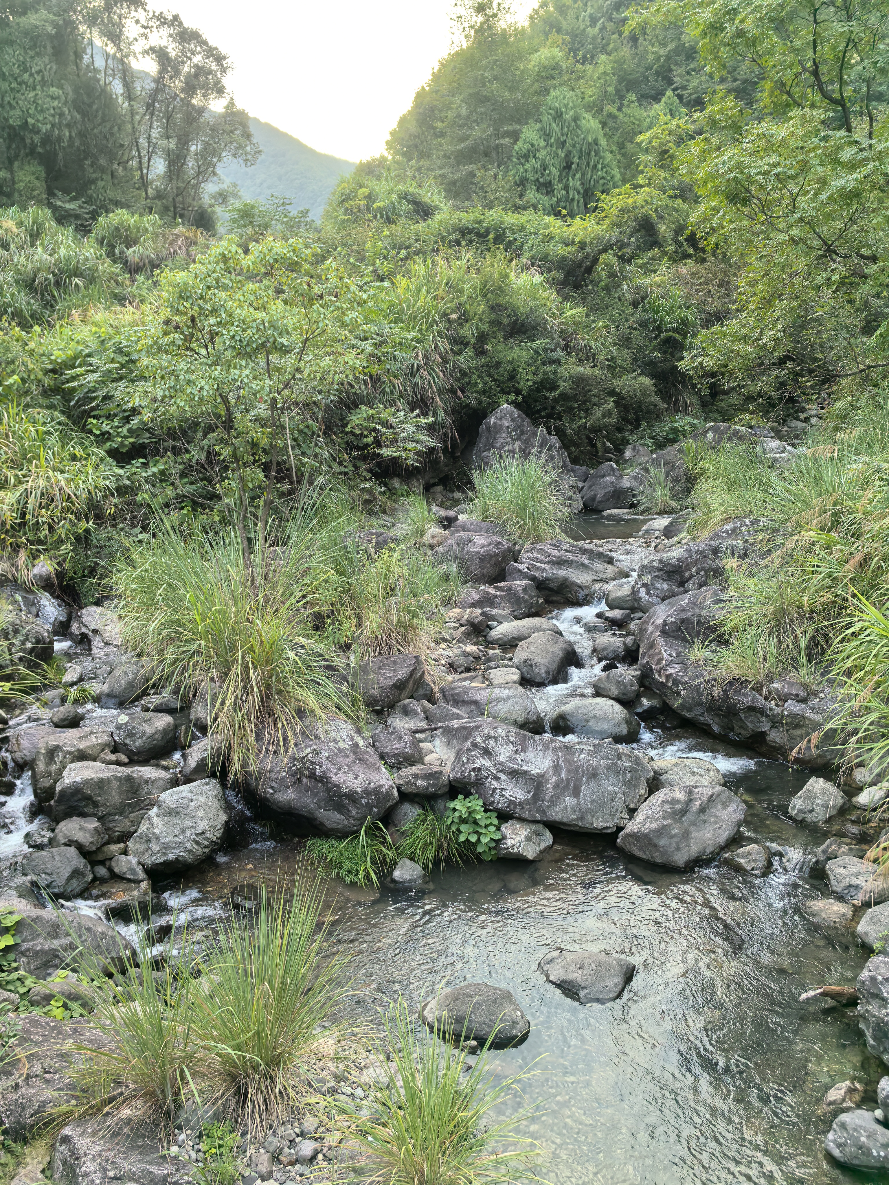 大雷山徒步之旅