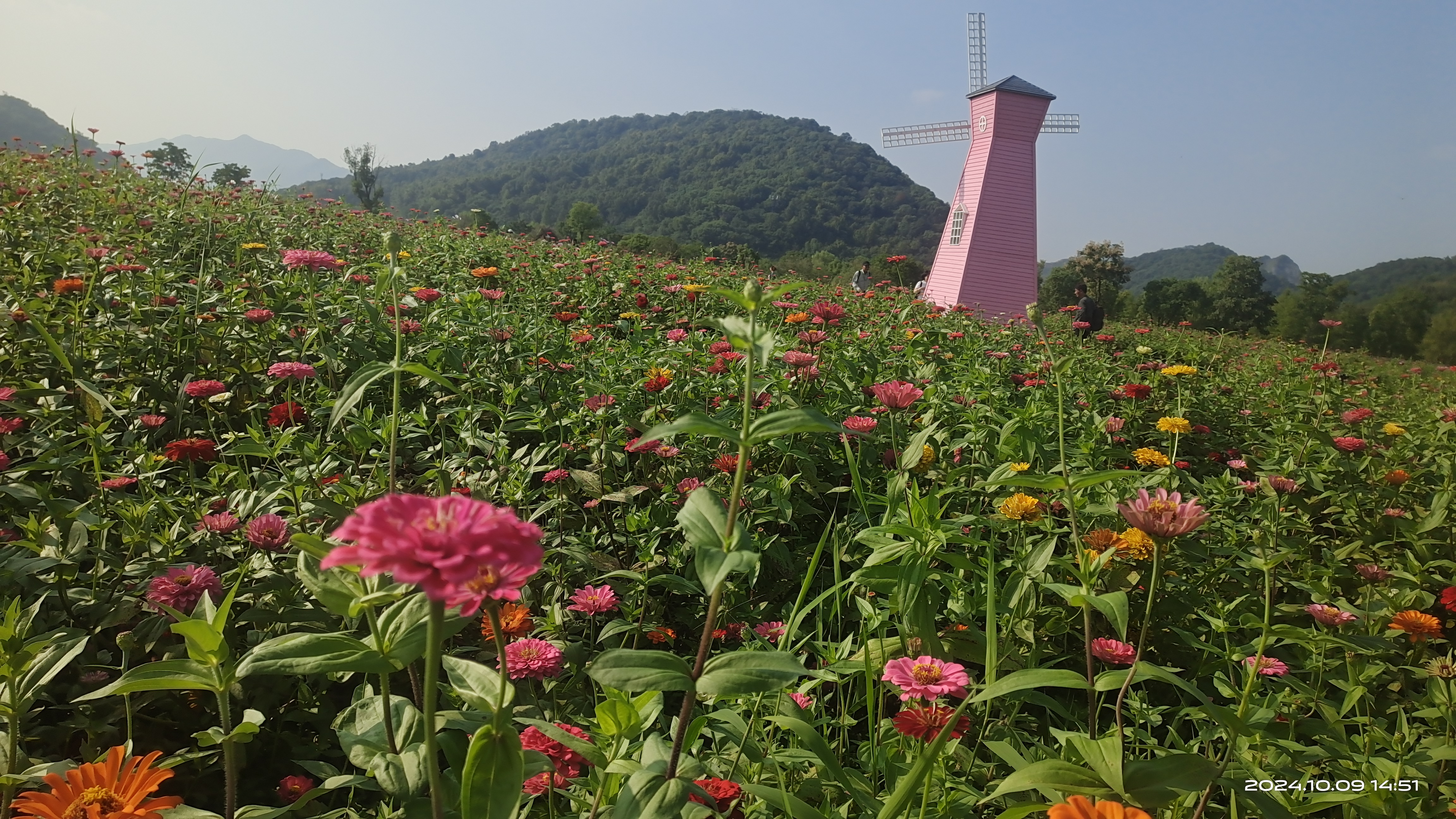 秋季的铜鉴湖花海