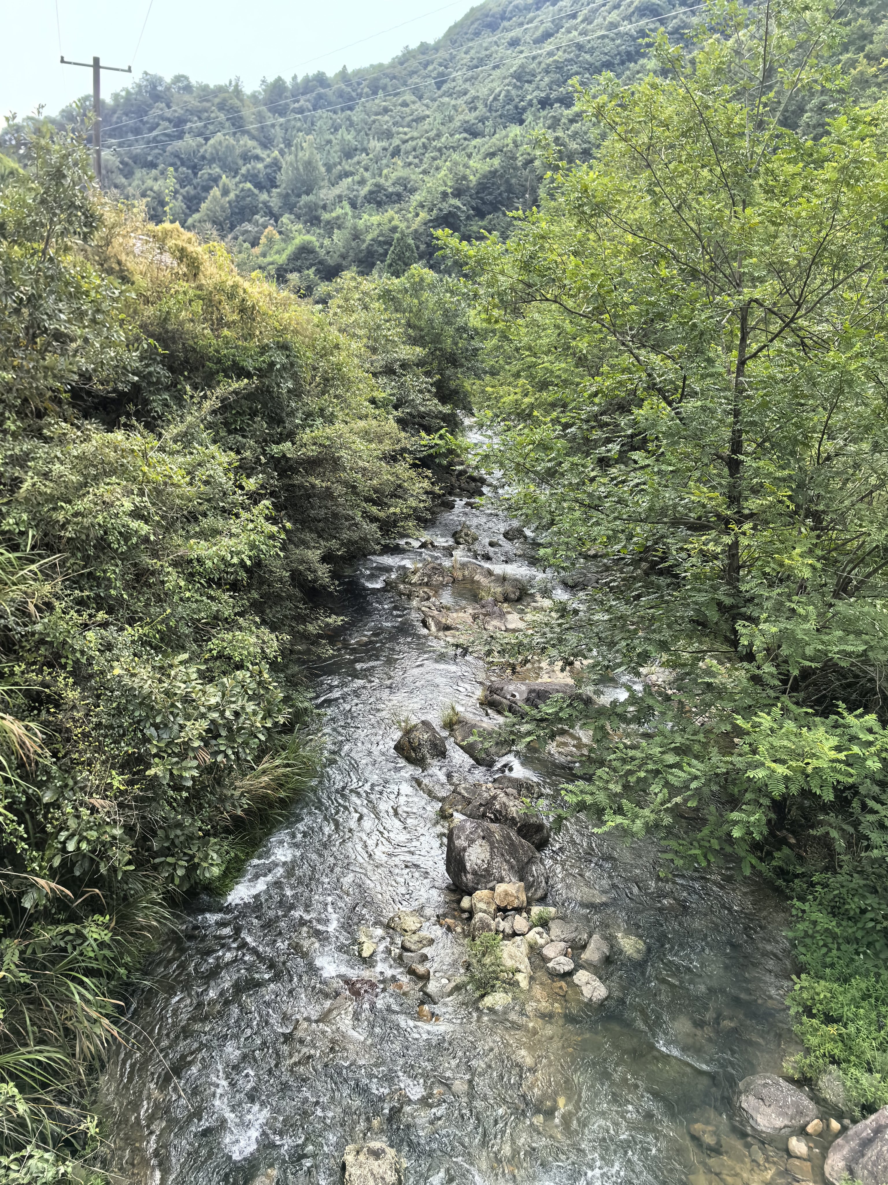 大雷山徒步之旅