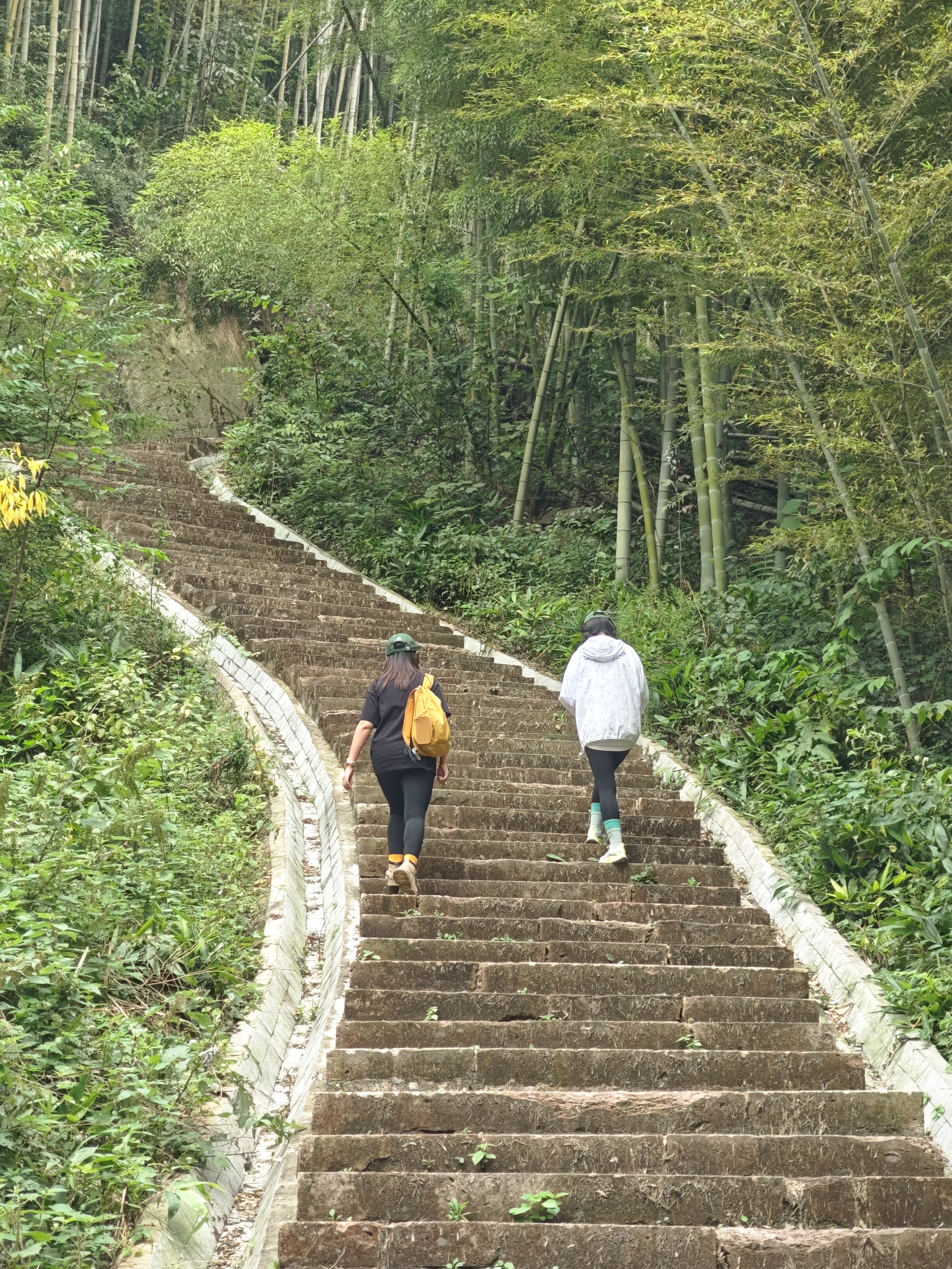 20241013唐道独松关