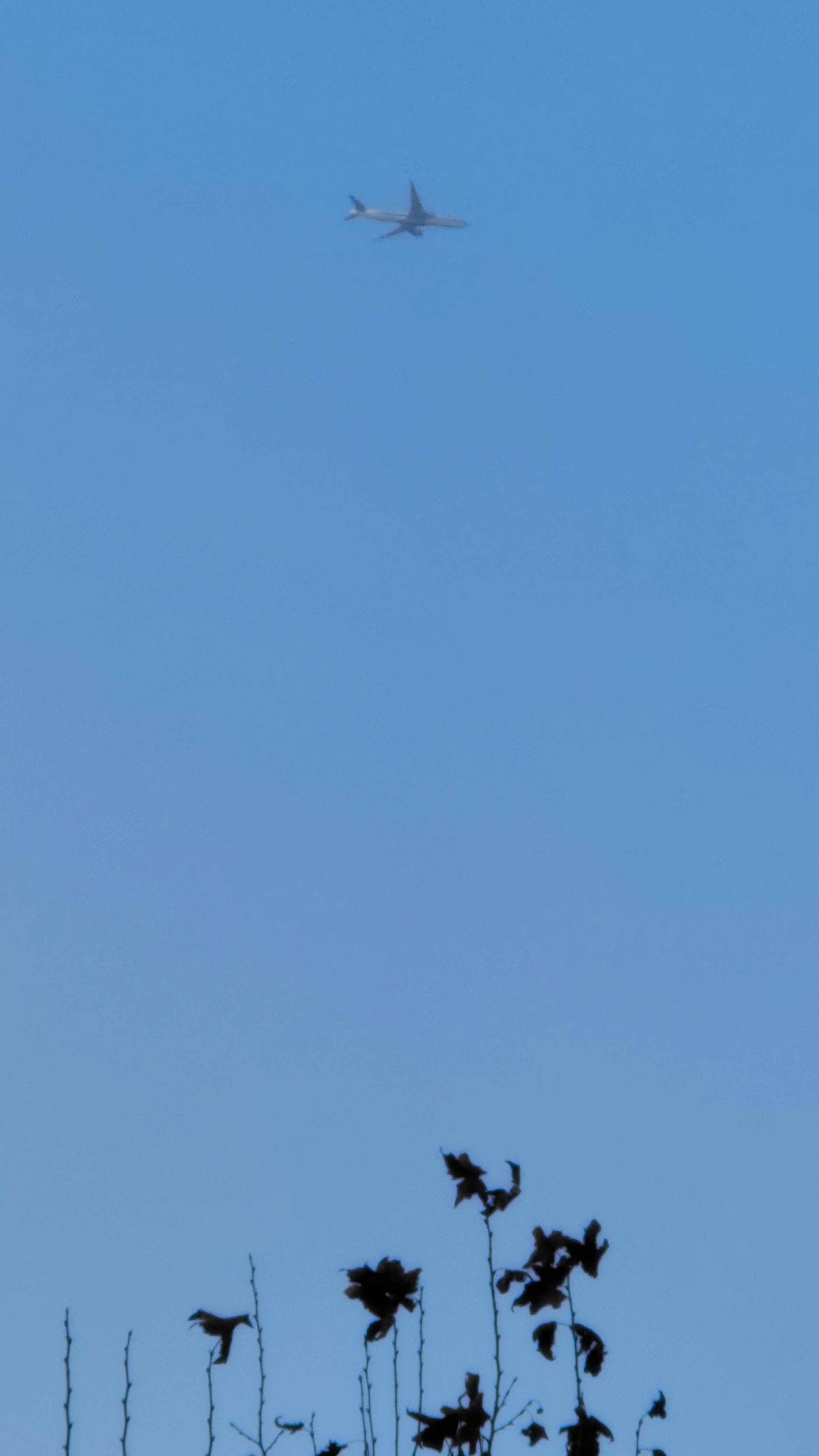 随手记