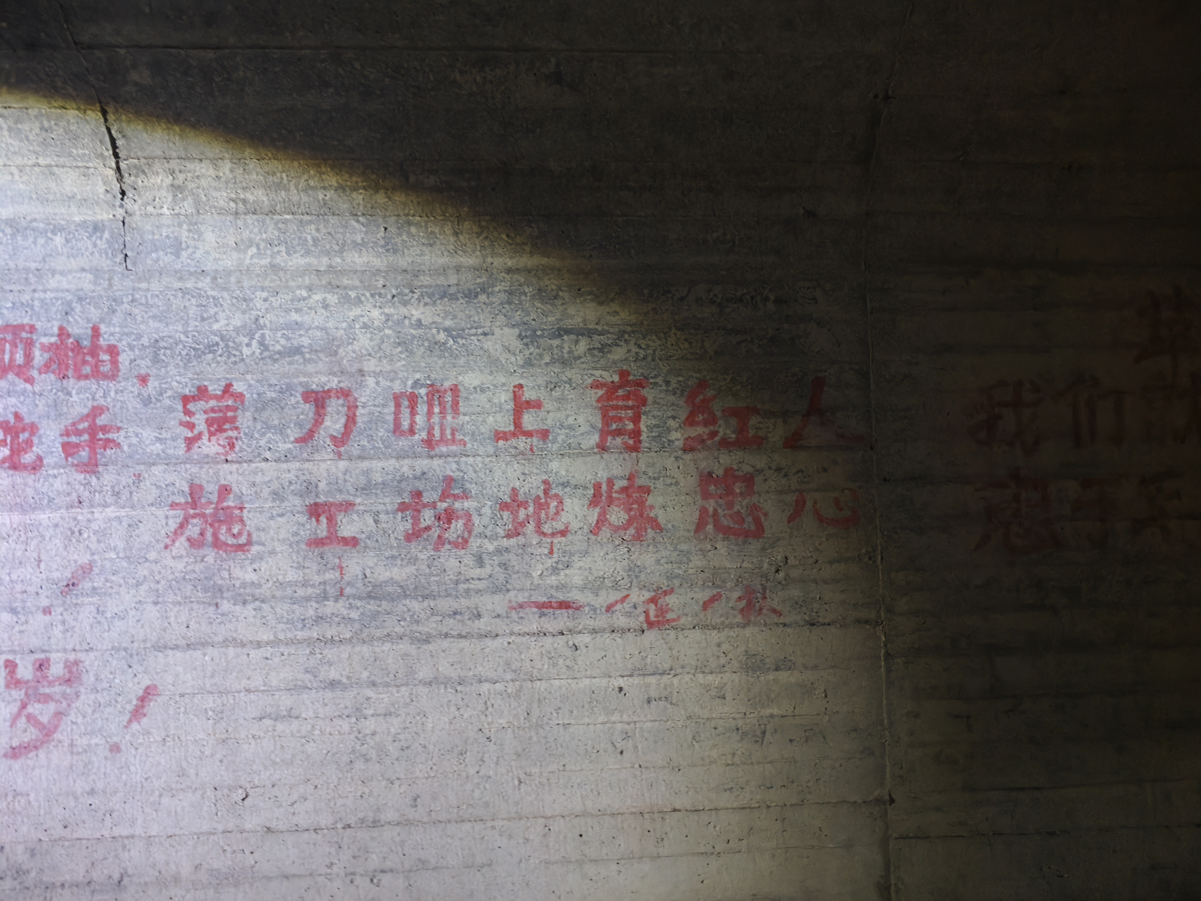 跟想象中一样放松且愉快的海岛摆烂日记(秋季也非常适合!—— 2024.10.13夏日摆烂·海岛露营