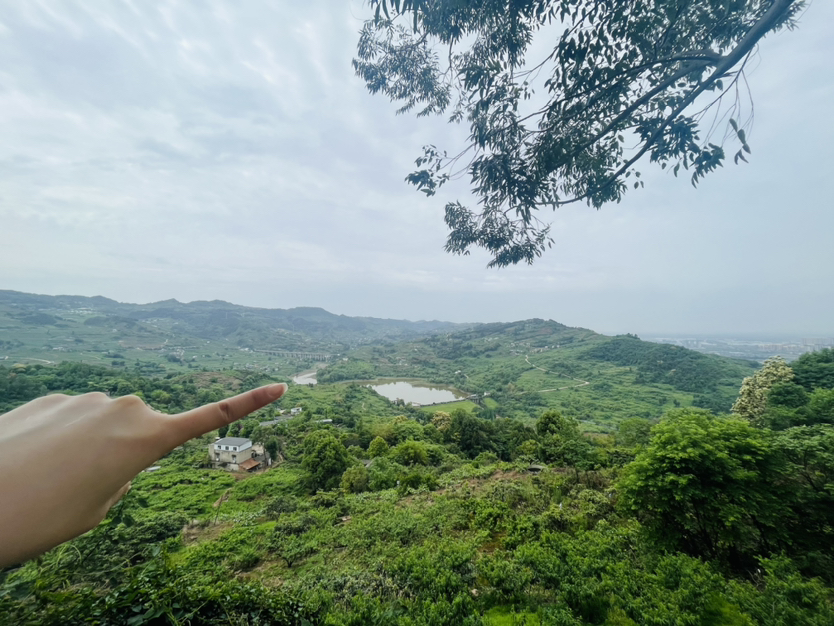 成都龙泉山