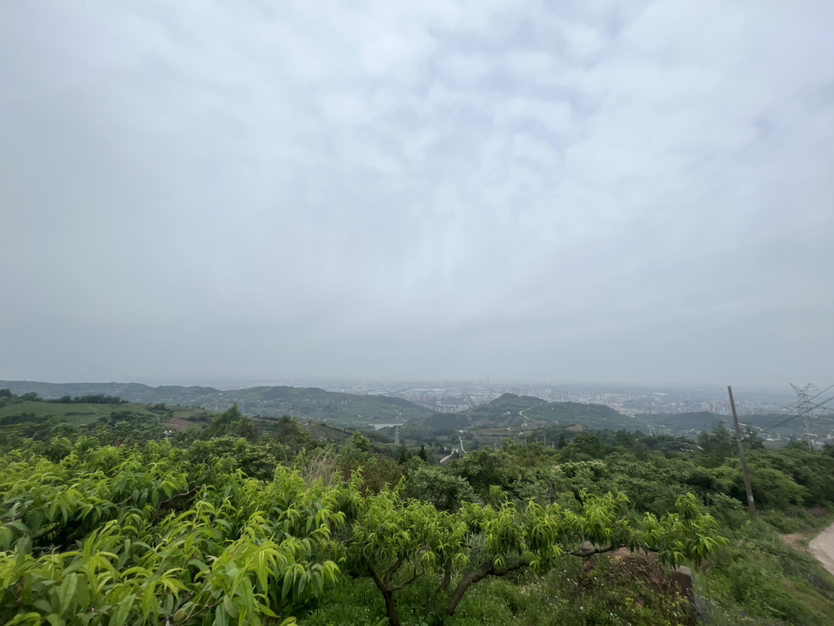 成都龙泉山
