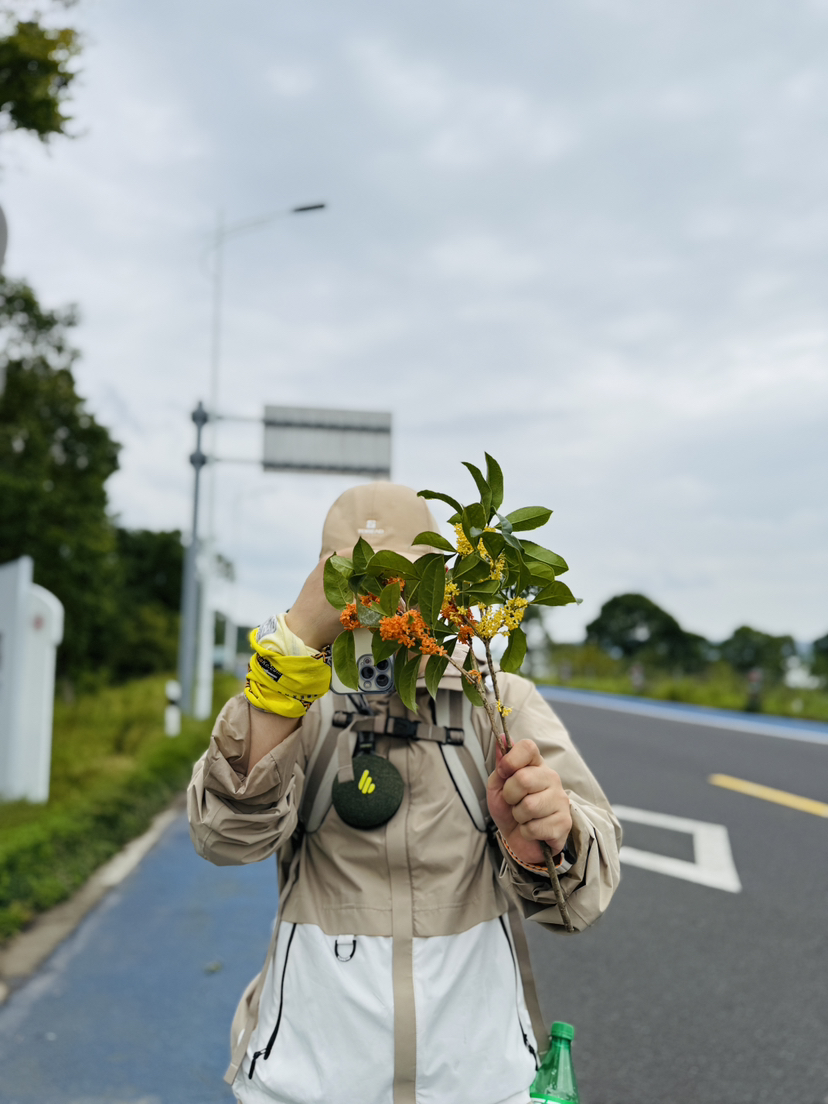 10.13日光福赏桂爬山记