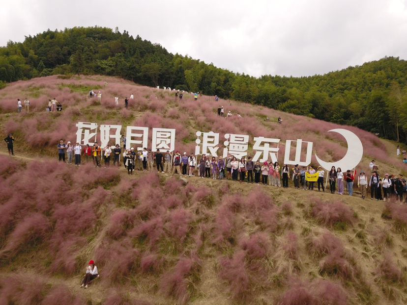 粉黛花海·月宫古道|藏着无尽浪漫的地方