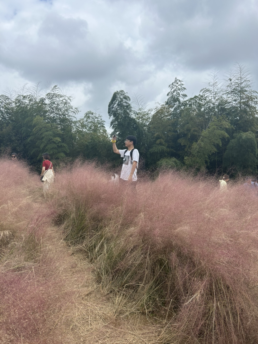 粉黛花海·月宫古道|藏着无尽浪漫的地方