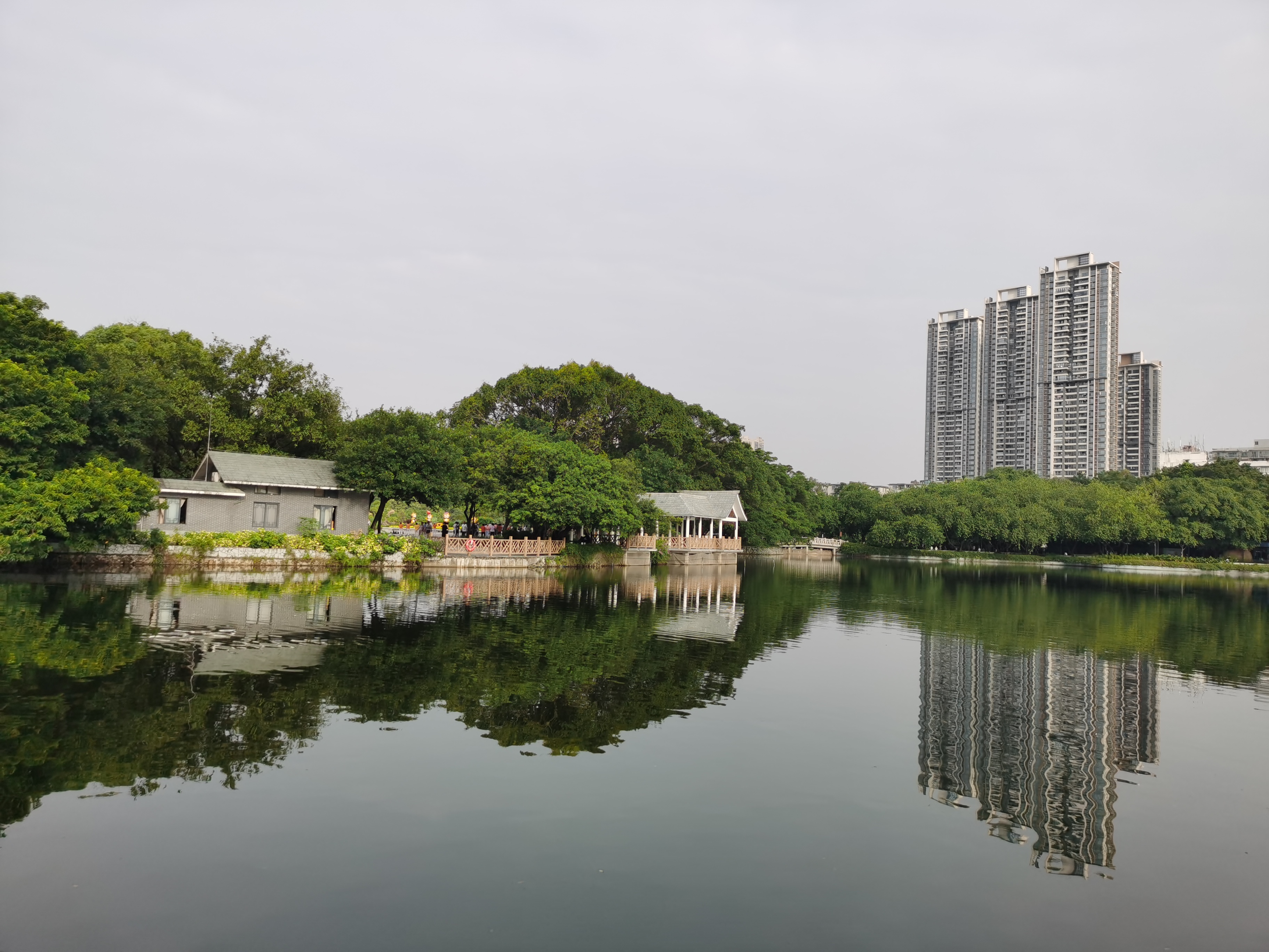 流花湖公园